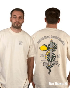 Cold As Ice - Original Rhode Island Art T-Shirt
