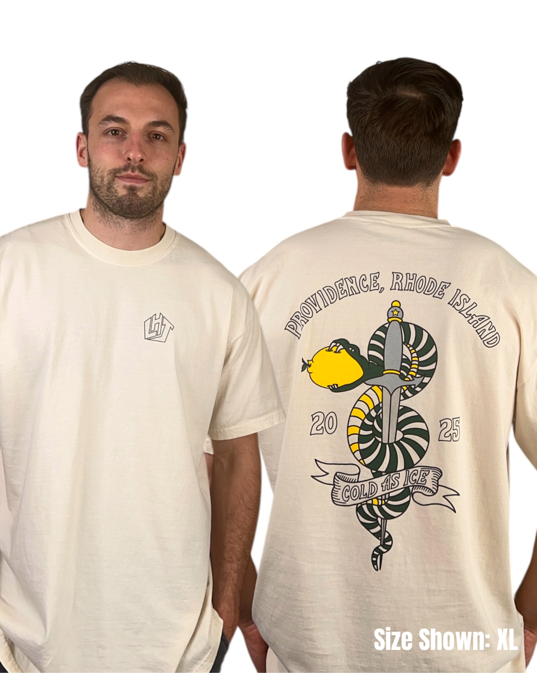 Cold As Ice - Original Rhode Island Art T-Shirt